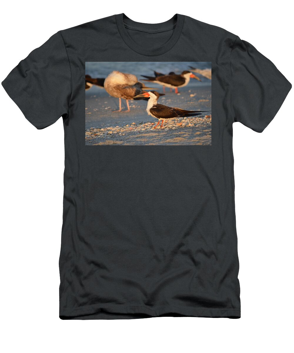 1 Alert James Petersen T-Shirt