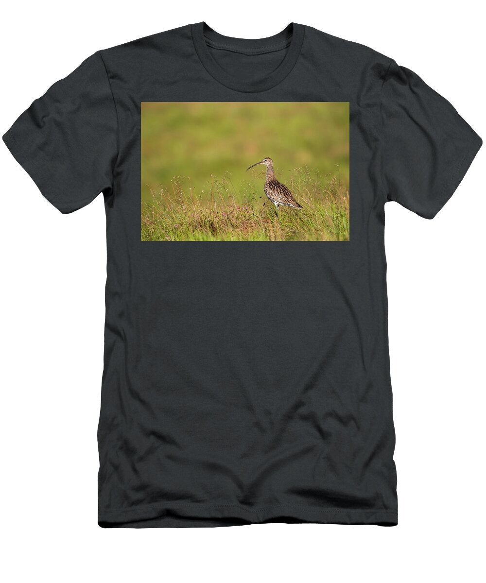1 Curlew Northumberland National Park UK Ann Steve Toon Natureplcom T-Shirt