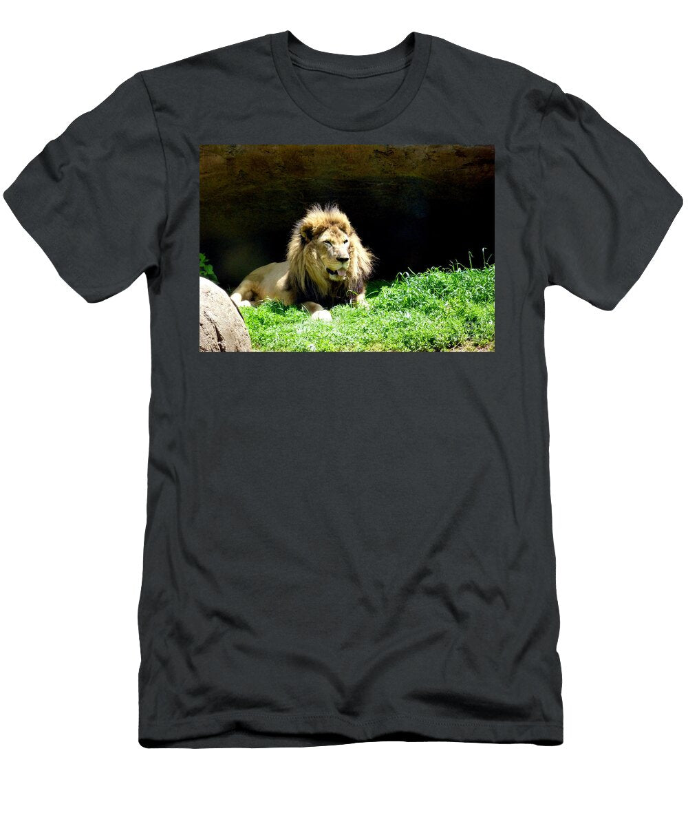 1 Enjoying the Sun Renee Trenholm T-Shirt