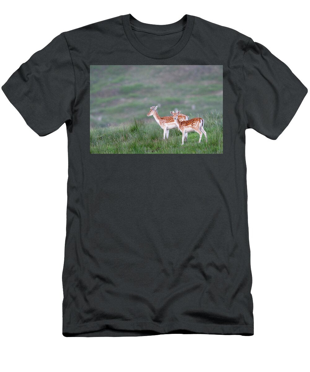 1 Fallow Deer Billsmoor Park Northumberland National Park Ann Steve Toon Natureplcom T-Shirt