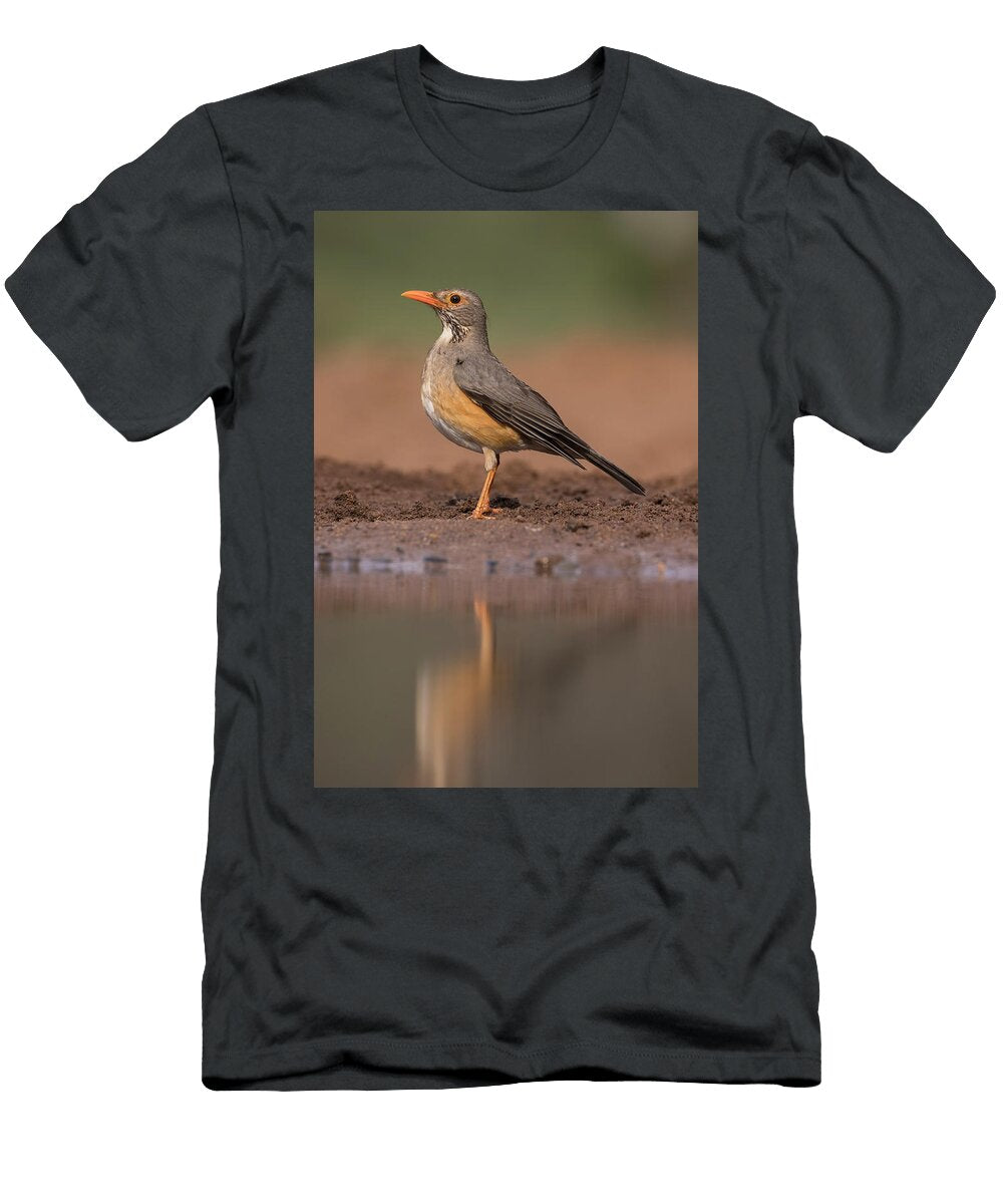 1 Kurrichane Thrush Zimanga Private Game Reserve Ann Steve Toon Natureplcom T-Shirt