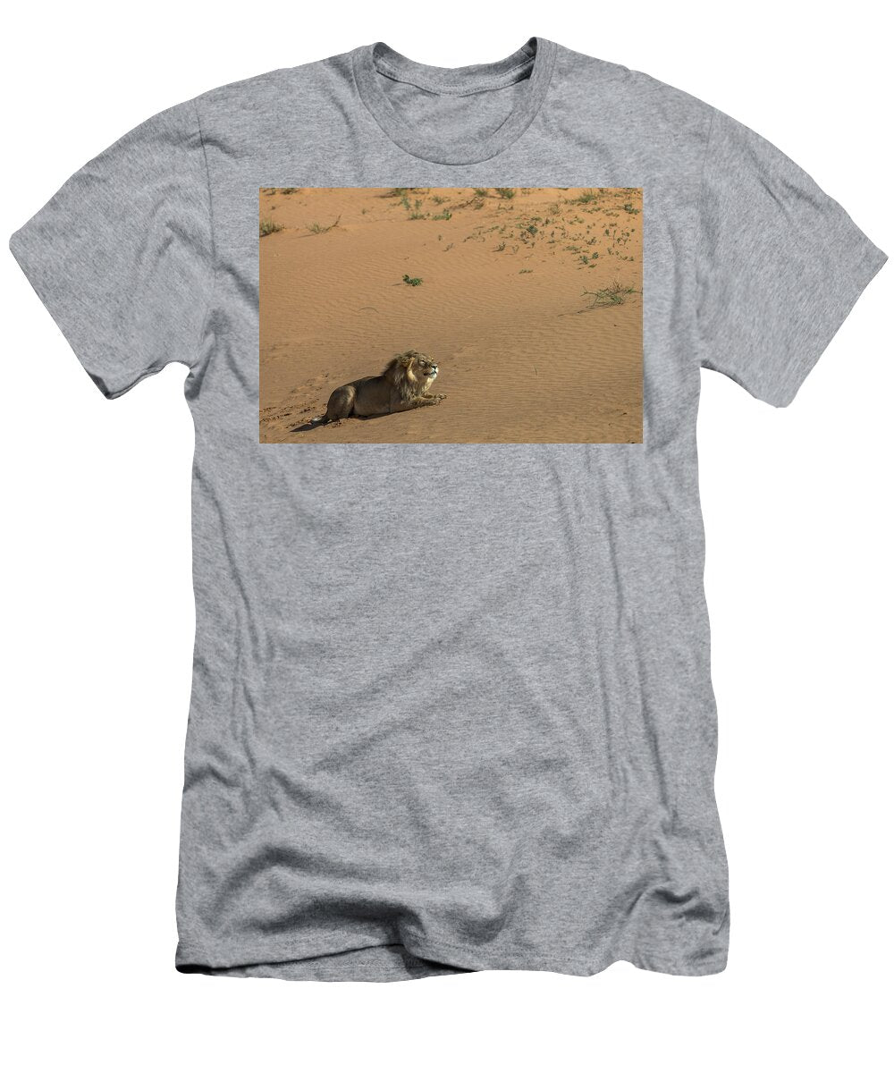 1 Lion Male on Desert Sand Dune Kgalagadi Transfrontier Ann Steve Toon Natureplcom T-Shirt