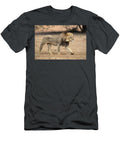 1 Lion Walking Kgalagadi Transfrontier Park South Ann Steve Toon Natureplcom T-Shirt
