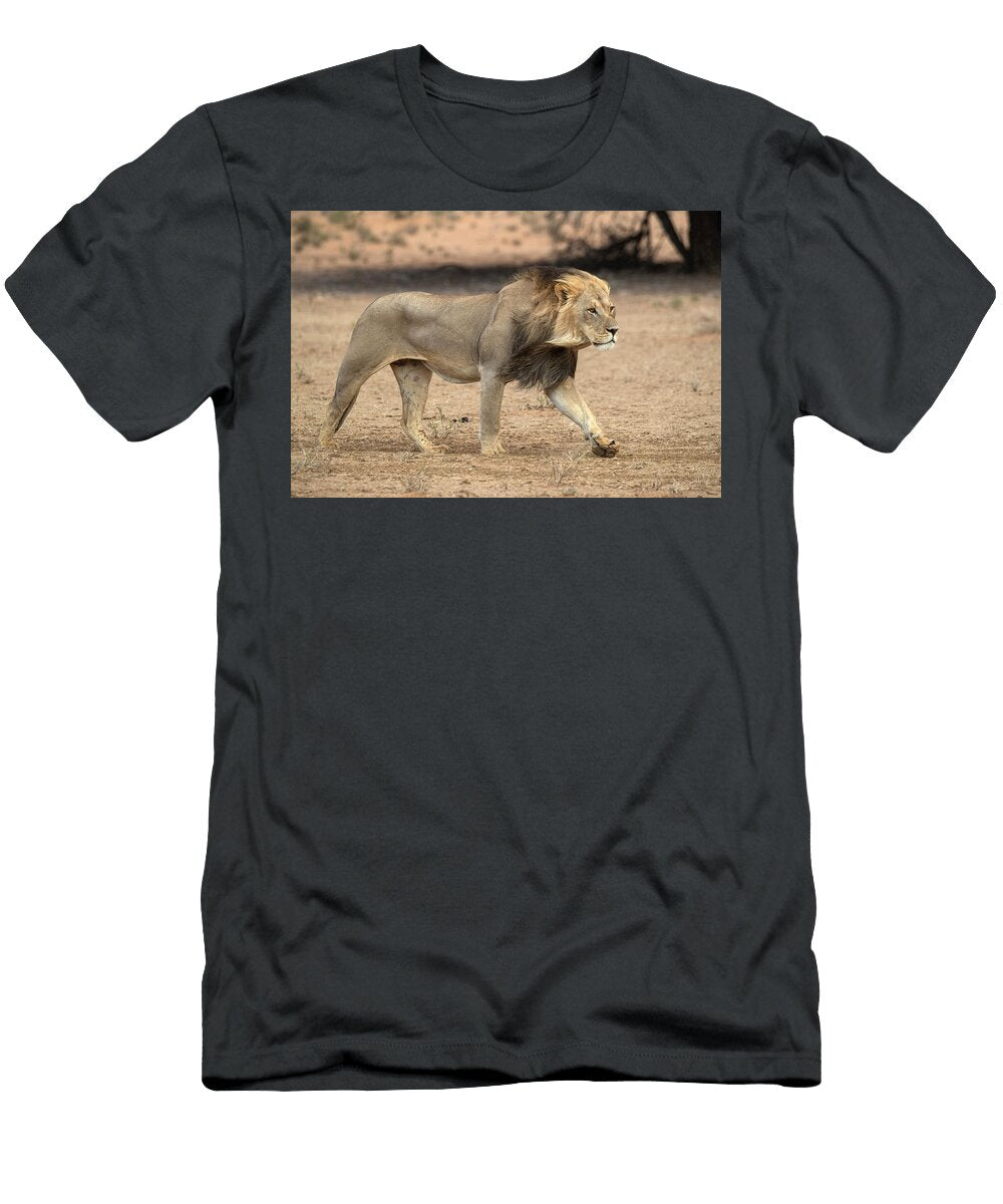 1 Lion Walking Kgalagadi Transfrontier Park South Ann Steve Toon Natureplcom T-Shirt