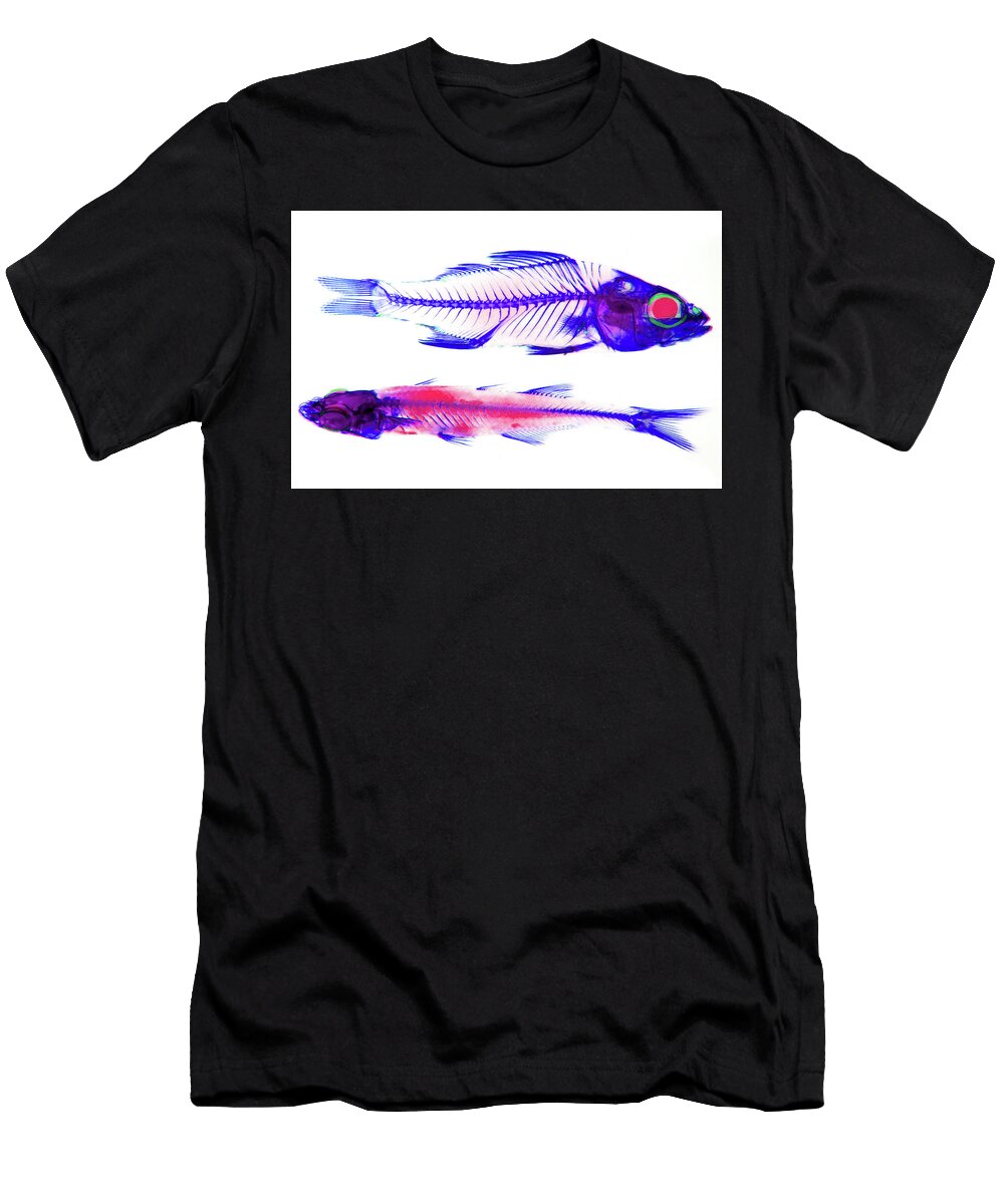 1 Nanjemoy Natives Noah Bressman T-Shirt