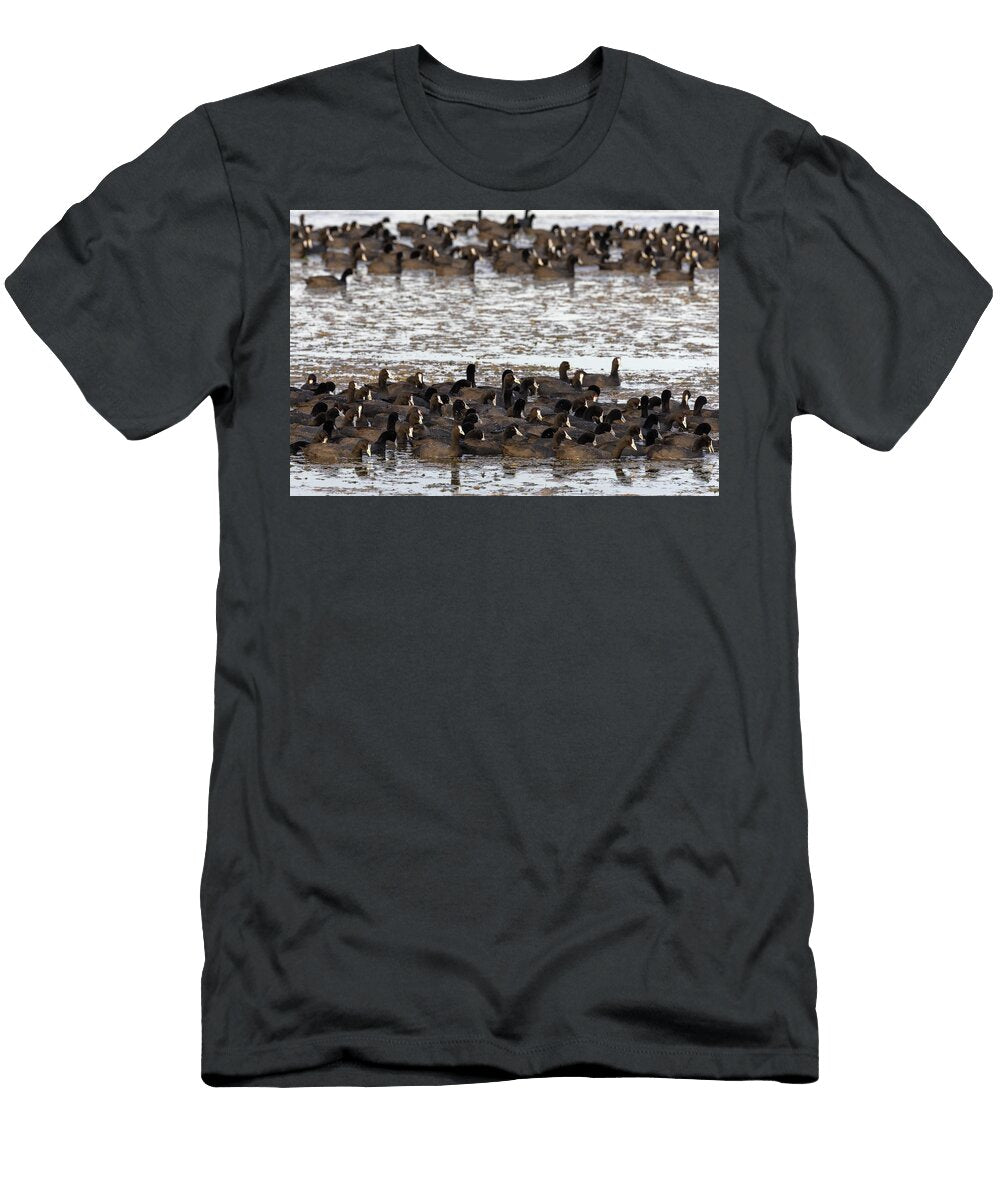 1 Red Knobbed Coots Flock on Water Amboseli National Park Ann Steve Toon Natureplcom T-Shirt