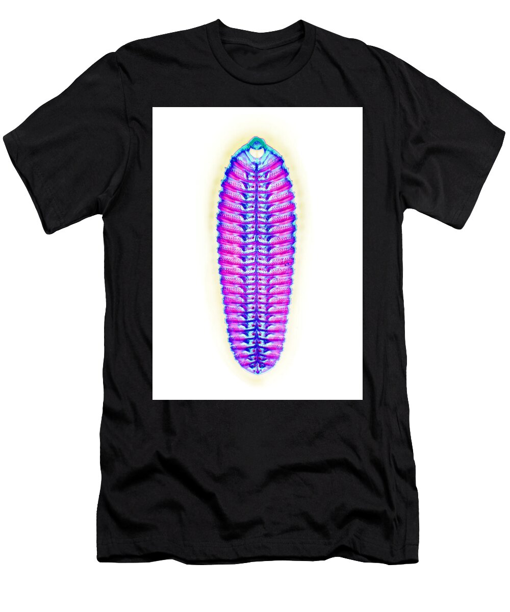 1 Remora Sucker Disk Noah Bressman T-Shirt