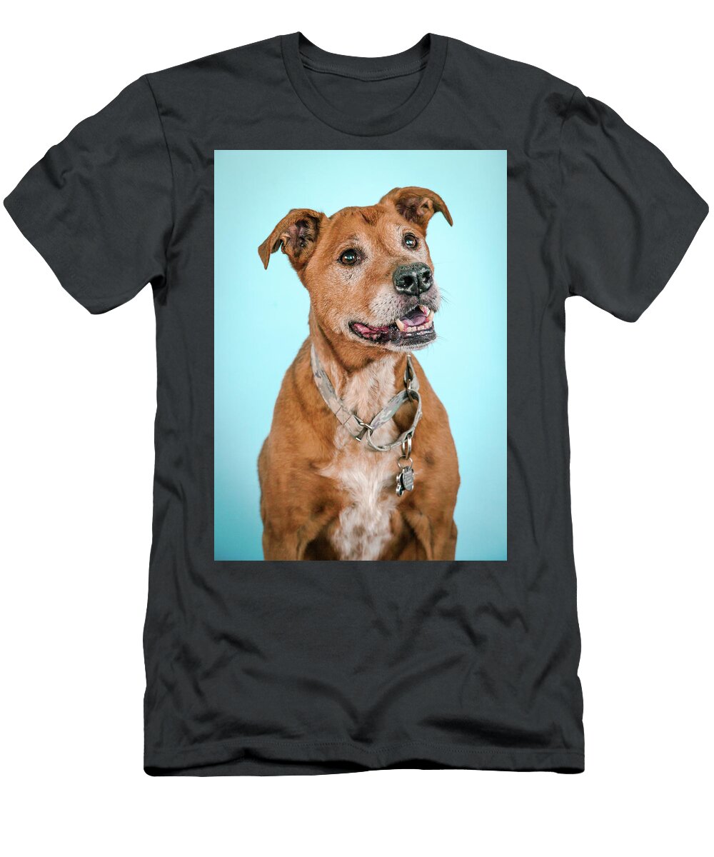 1 Scooter Pit Bull Headshots T-Shirt