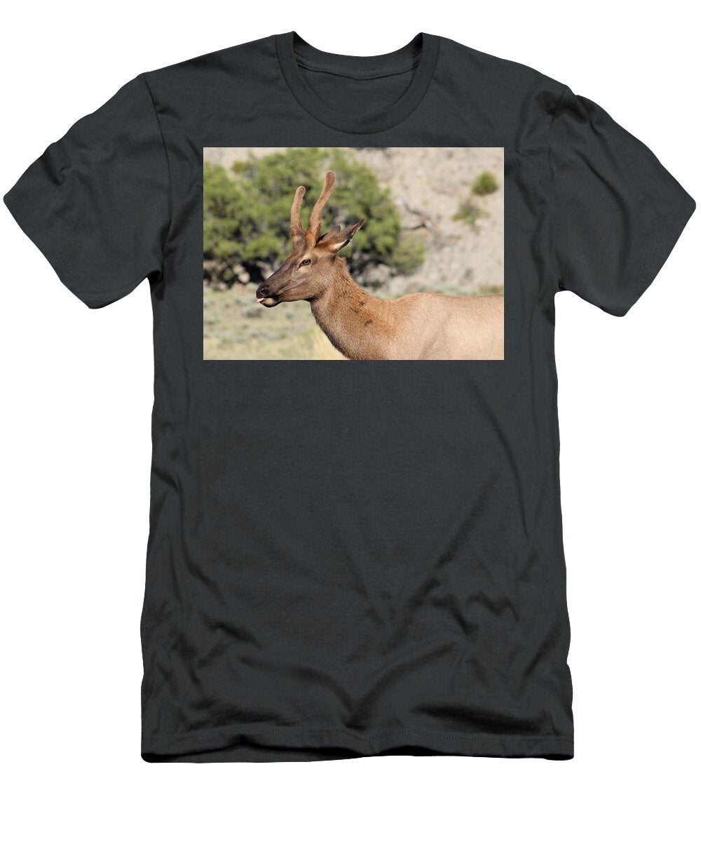 1 Velvet Elk Smiles Brent Jacobs T-Shirt