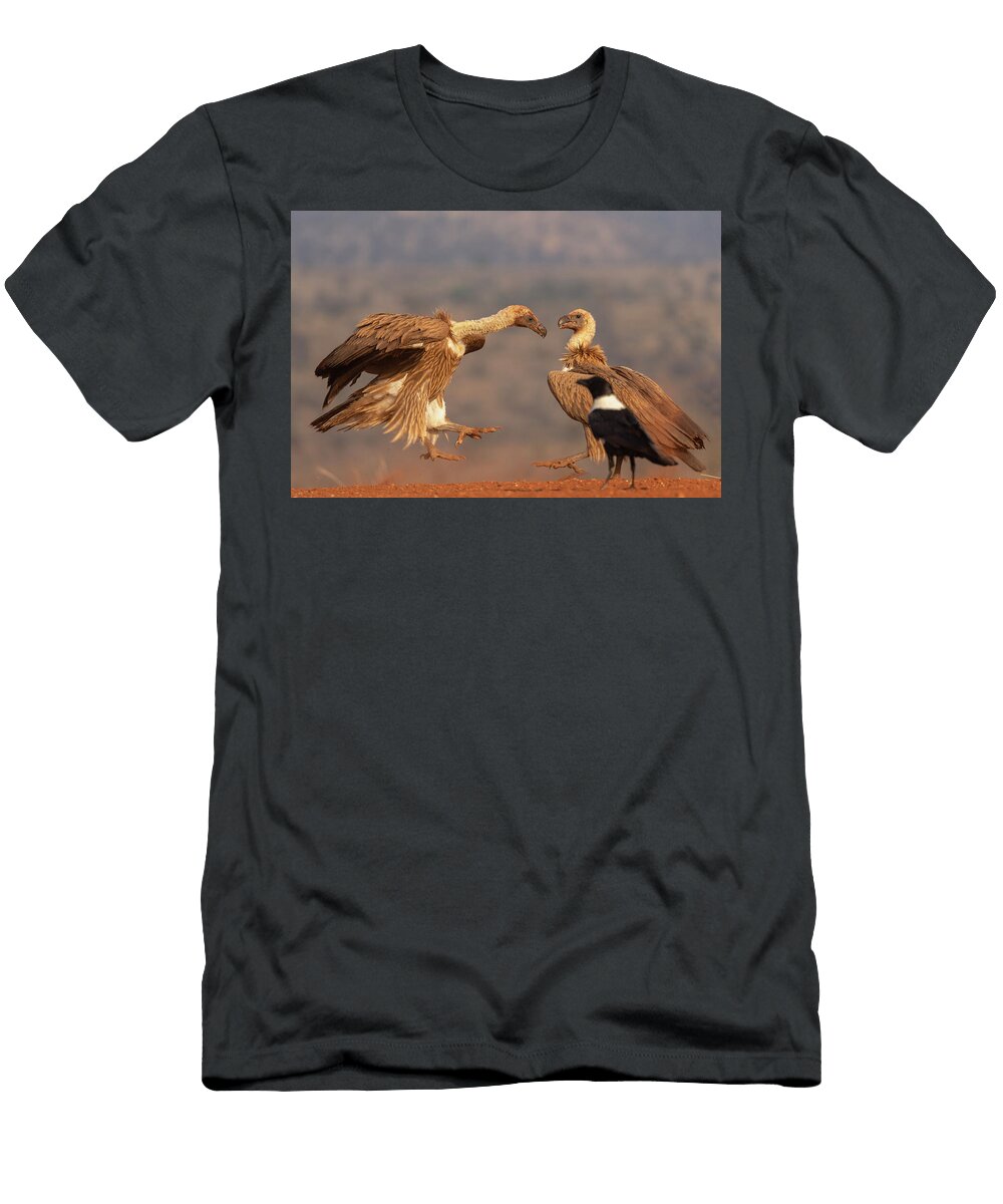 1 Whitebacked Vulture Fighting Over Food Zimanga Private Ann Steve Toon Natureplcom T-Shirt