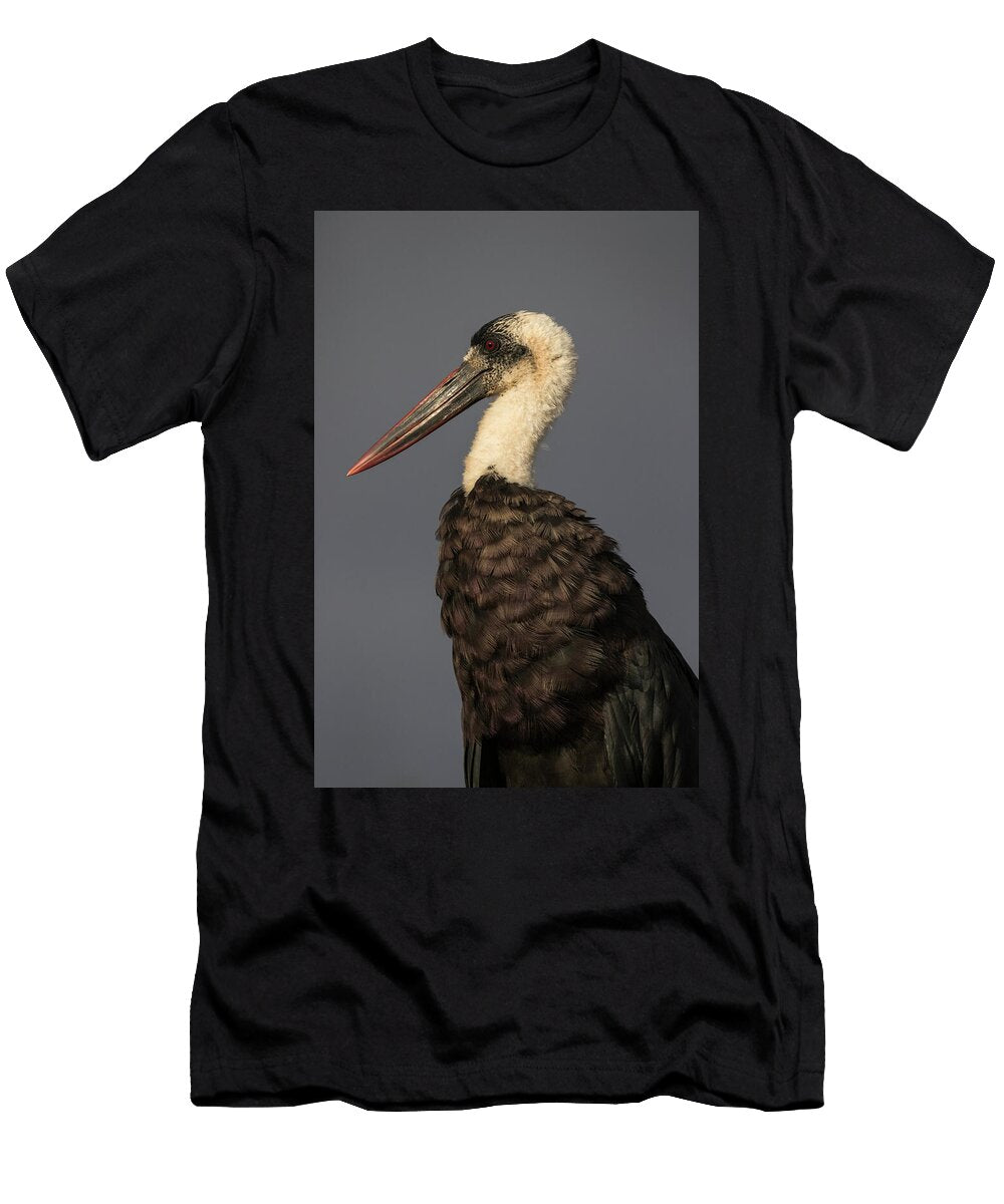 1 Woolly Necked Stork Zimanga Private Game Reserve Ann Steve Toon Natureplcom T-Shirt