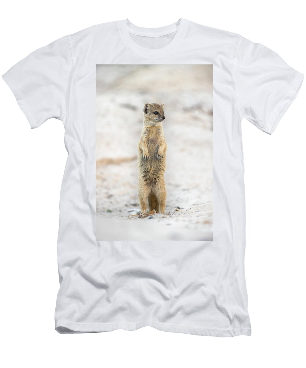 1 Yellow Mongoose Kgalagadi Transfrontier National Park Ann Steve Toon Natureplcom T-Shirt
