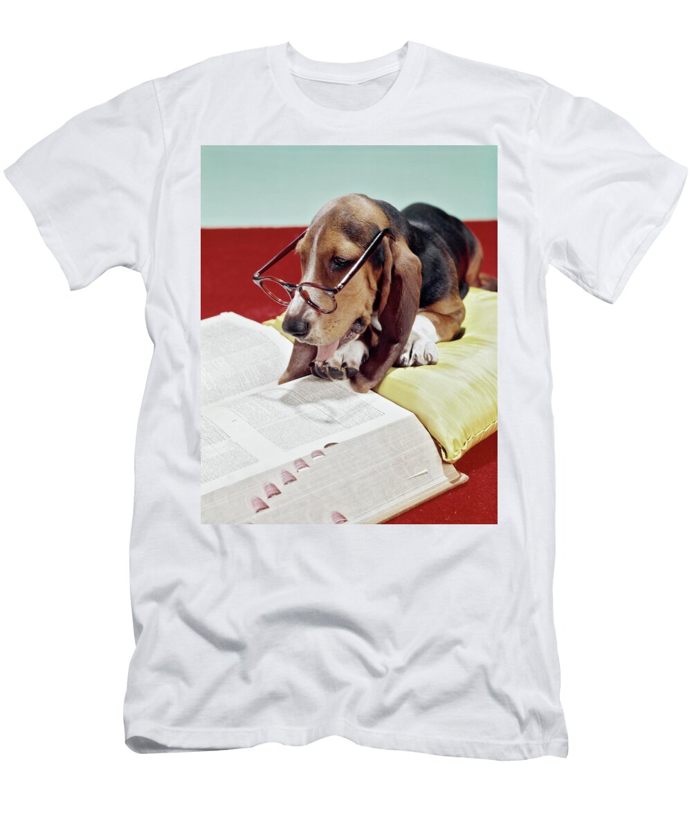 1960s 1970s Basset Hound with Sad Eyes Vintage Images T-Shirt