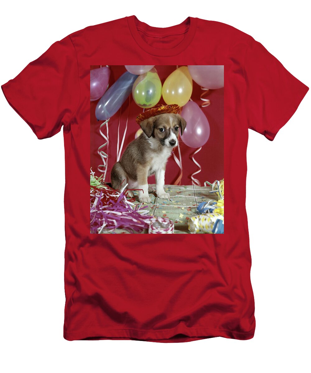 1960s Sad Puppy Wearing Party Hat Vintage Images T-Shirt
