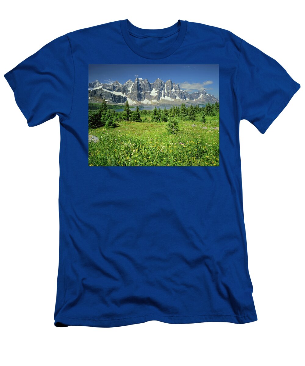 1m3859 Ramparts Above Amethyist Lake and Wildflowers Ed Cooper Photography T-Shirt