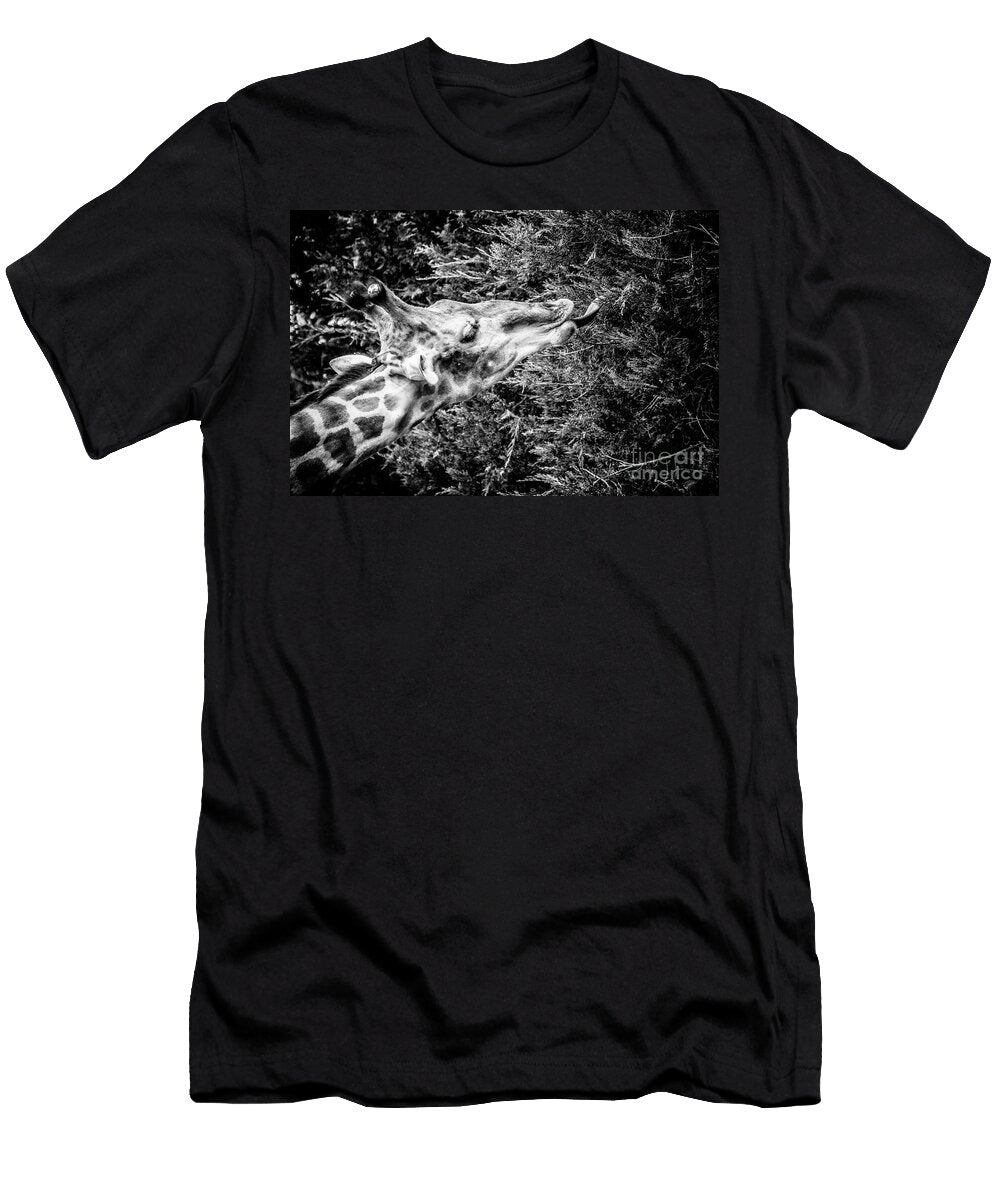 2 Traven Milovich T-Shirt