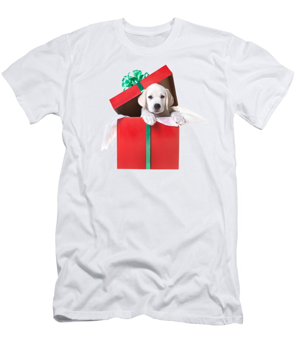 2 Christmas Puppy Diane Diederich T-Shirt