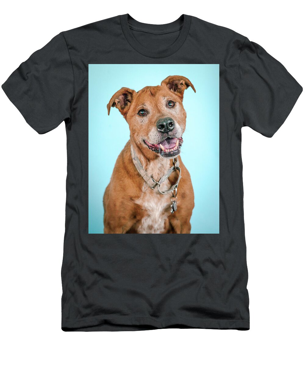 2 Scooter Pit Bull Headshots T-Shirt