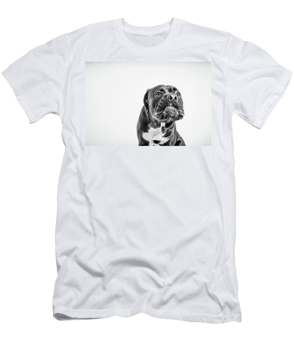 3 Cane Corso Szabina Hercz T-Shirt