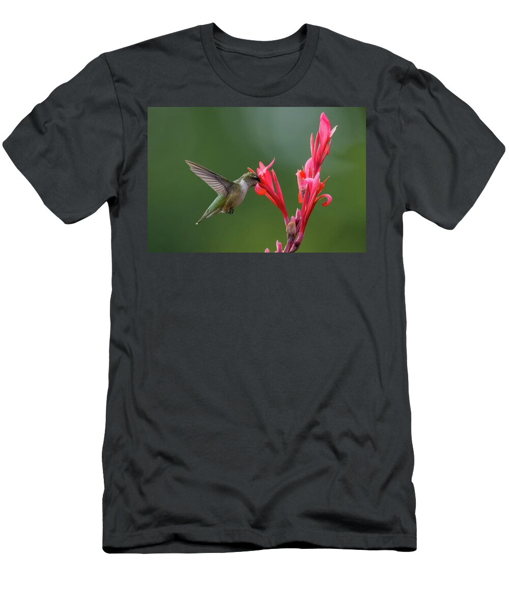 3 Hummingbird Lenin Ramachandran T-Shirt