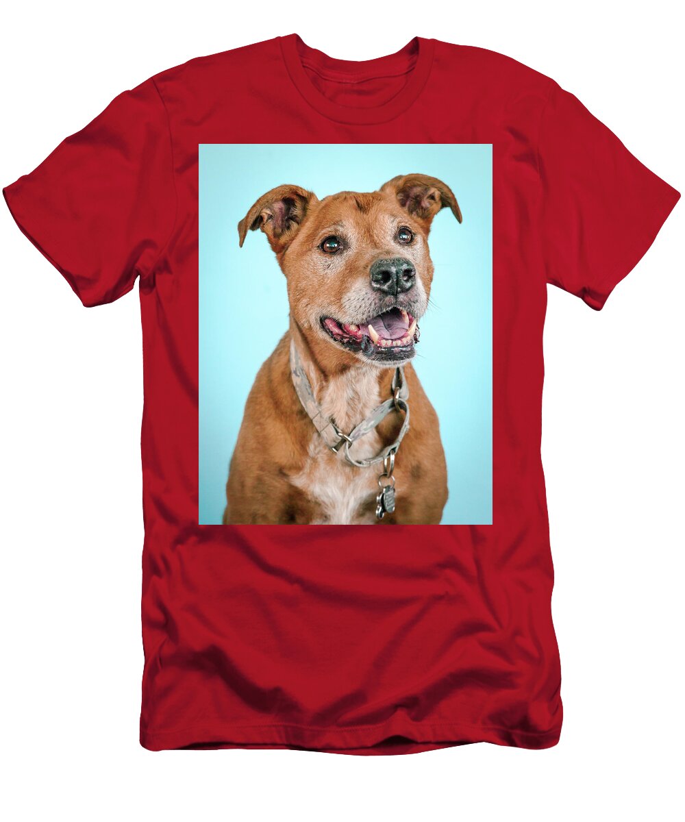3 Scooter Pit Bull Headshots T-Shirt