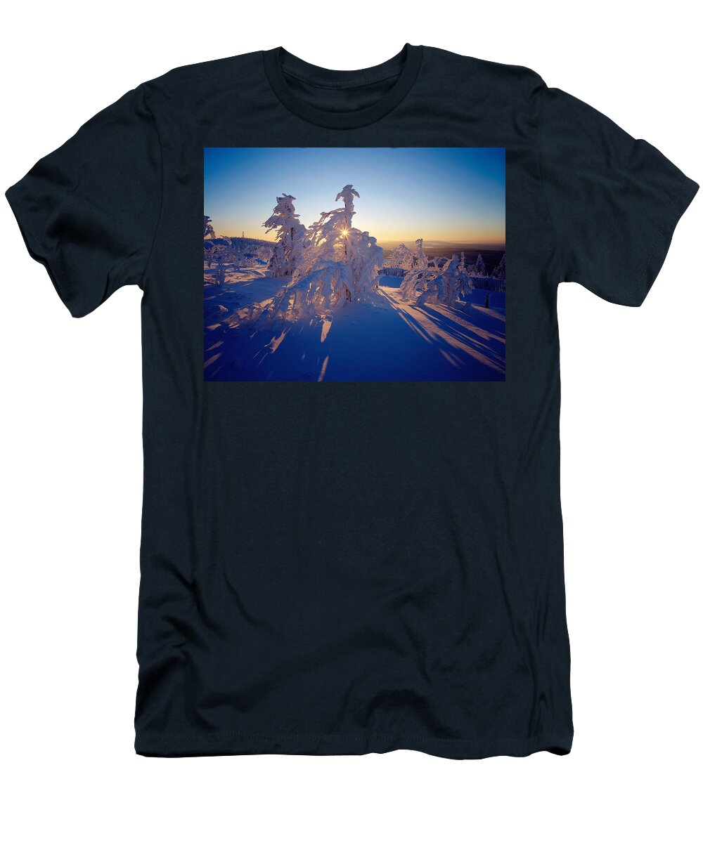 3 Snow Covered Trees Reinhard Schmid T-Shirt