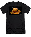 4 Flapjack Octopus Dante Fenolio T-Shirt