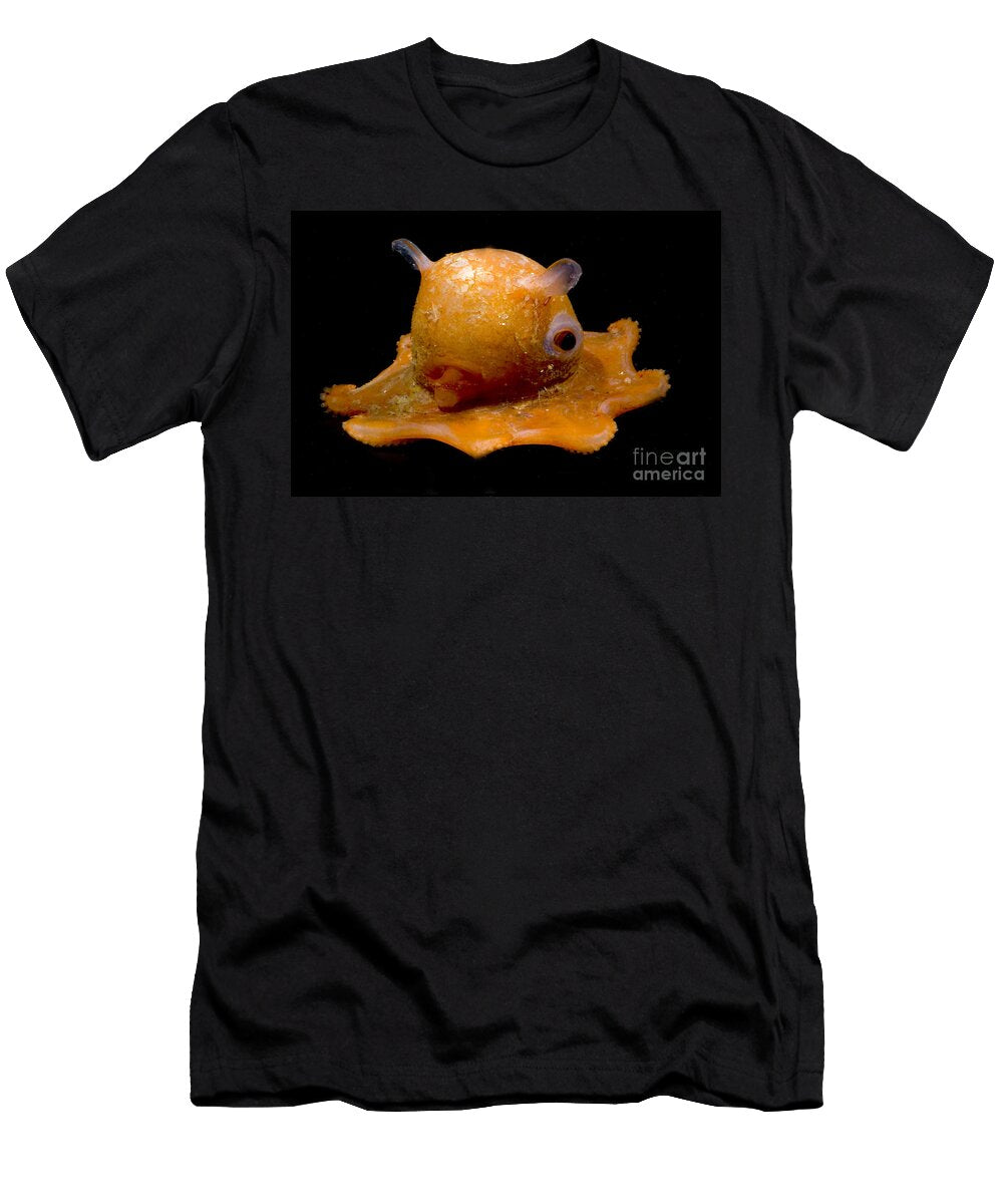 4 Flapjack Octopus Dante Fenolio T-Shirt