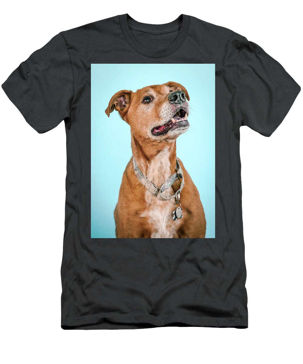 4 Scooter Pit Bull Headshots T-Shirt
