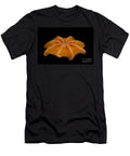 5 Flapjack Octopus Dante Fenolio T-Shirt