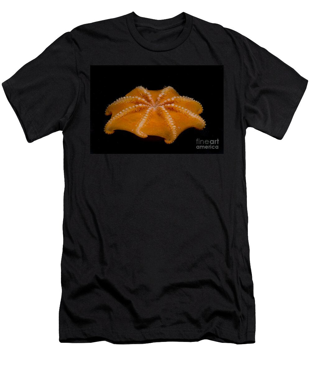 5 Flapjack Octopus Dante Fenolio T-Shirt