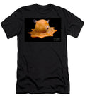 7 Flapjack Octopus Dante Fenolio T-Shirt