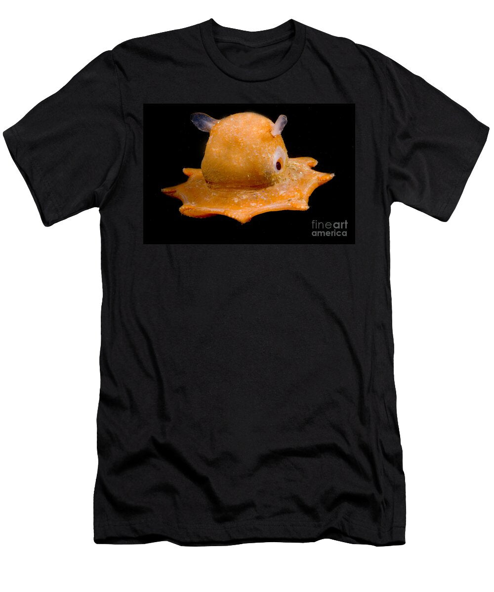 7 Flapjack Octopus Dante Fenolio T-Shirt