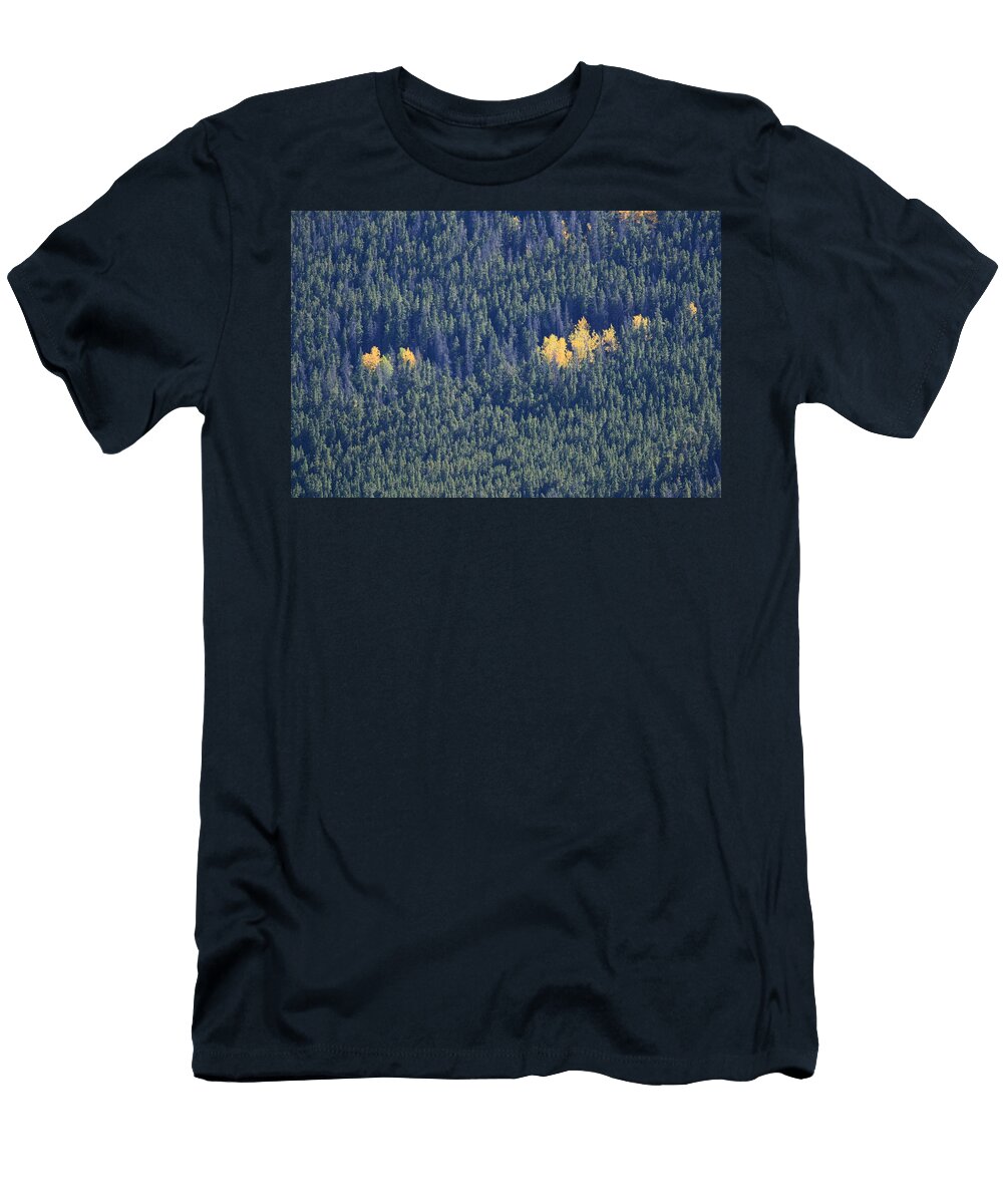 A Nugget of Gold Bob Marlowe T-Shirt