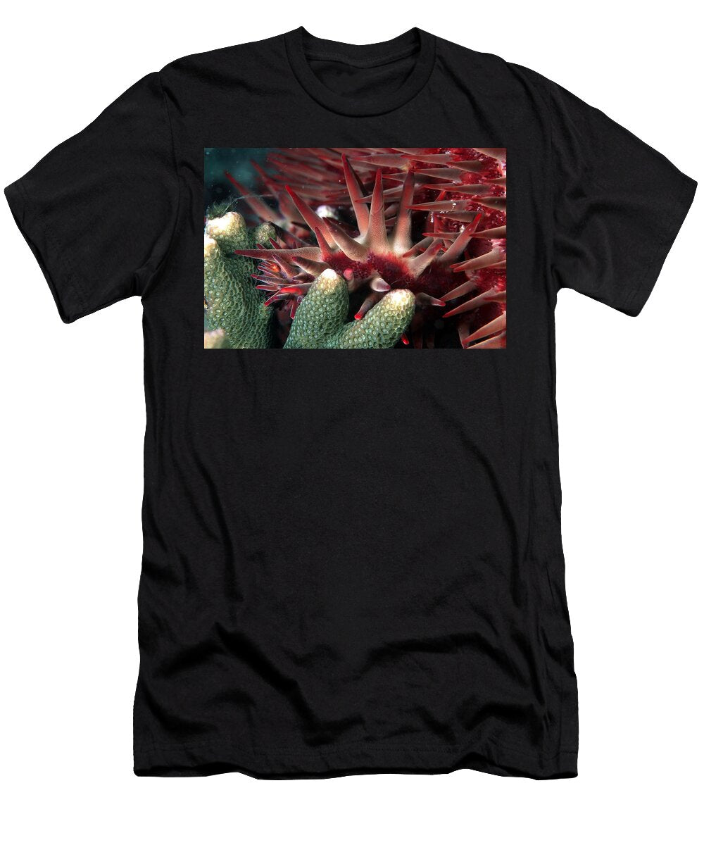 Acanthaster Benguerra Is Mozambique Roberto Rinaldi T-Shirt