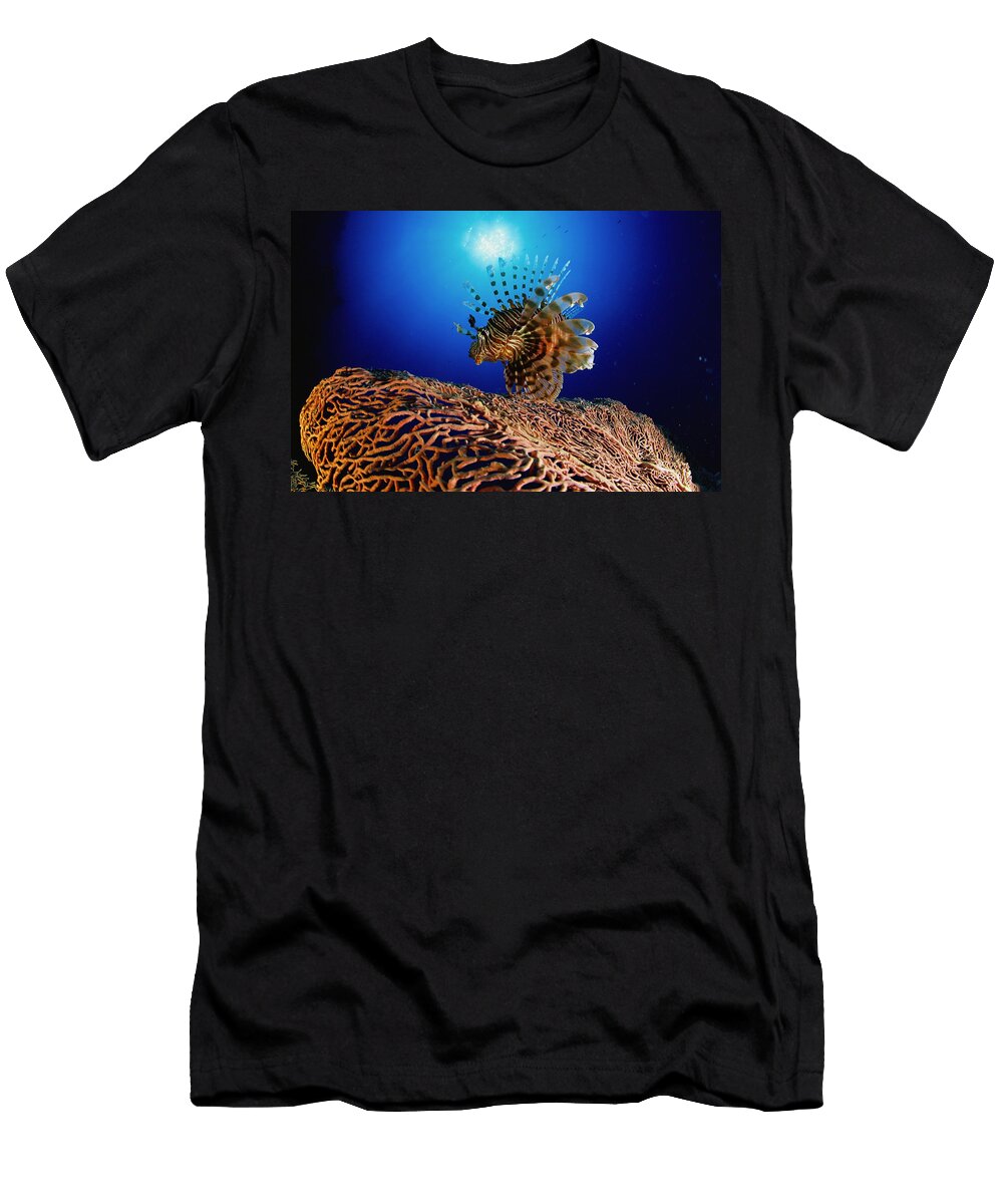 Africa Egypt Scorpionfish Manfred Bortoli T-Shirt