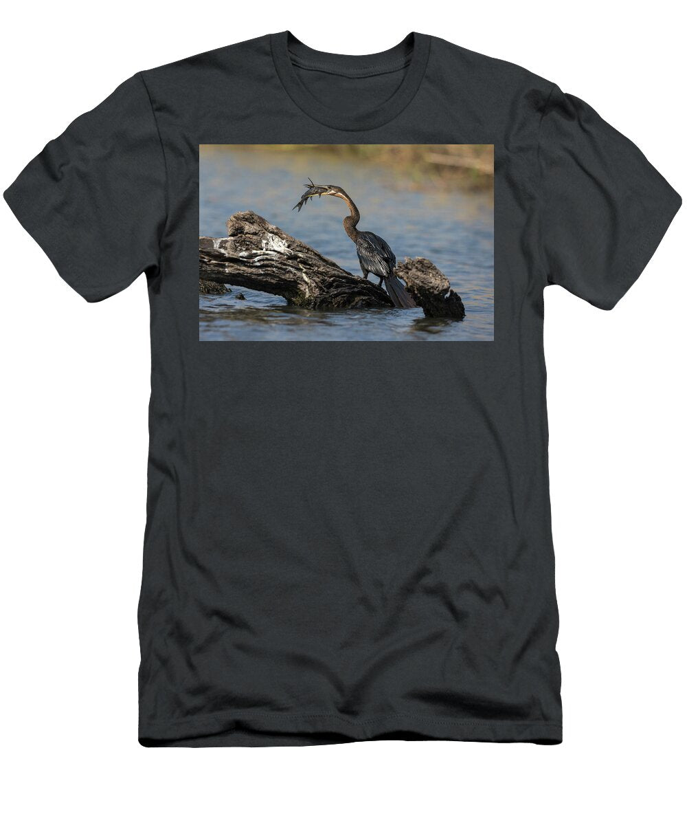 African Darter with Fish Chobe River Ann Steve Toon Natureplcom T-Shirt
