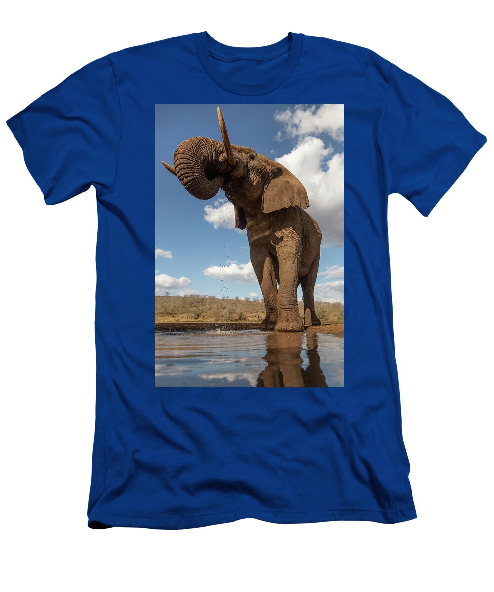 African Elephant Bull Drinking At Waterhole Zimanga Ann Steve Toon Natureplcom T-Shirt