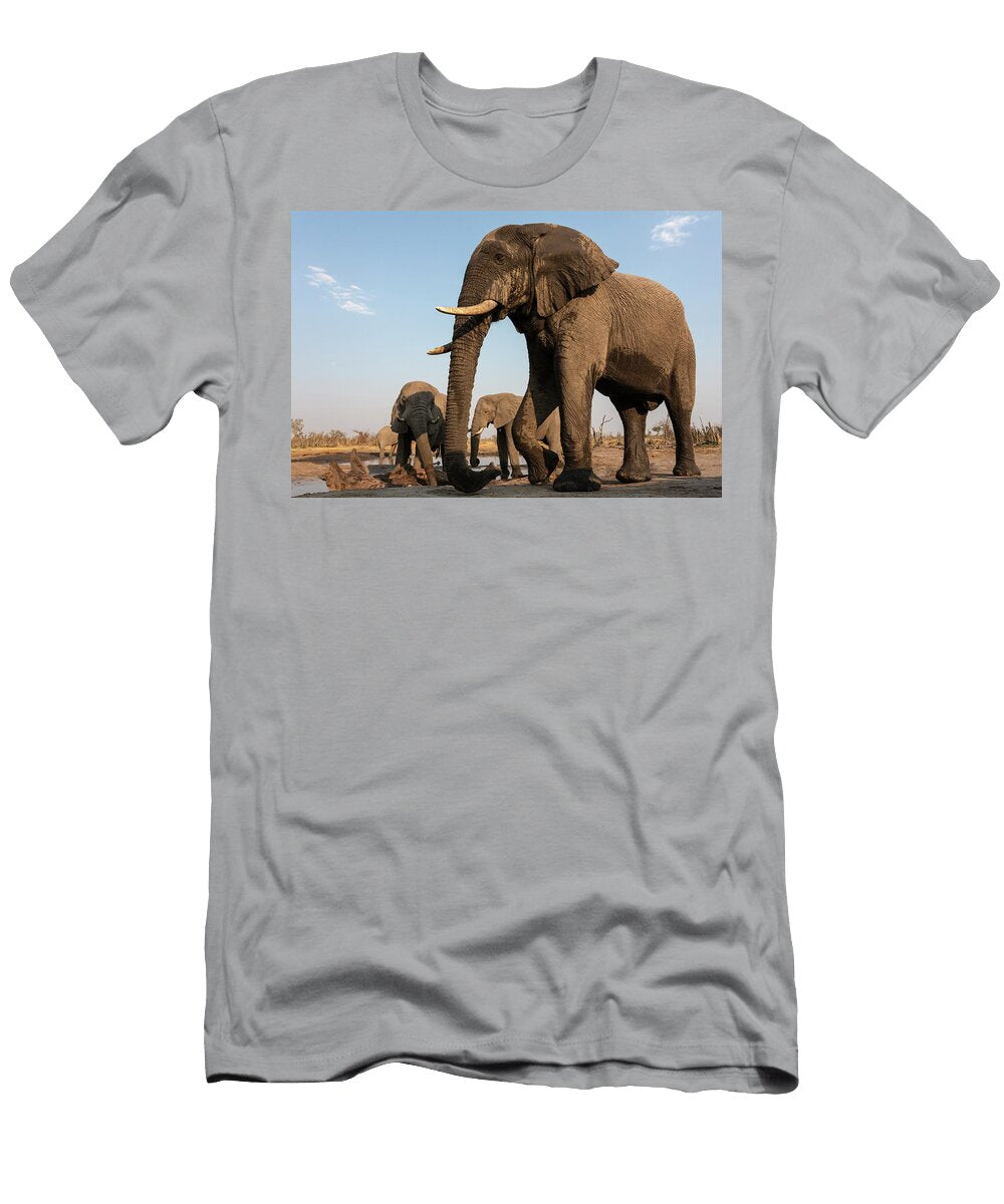 African Elephant Bulls At Waterhole Khwai Conservancy Ann Steve Toon Natureplcom T-Shirt