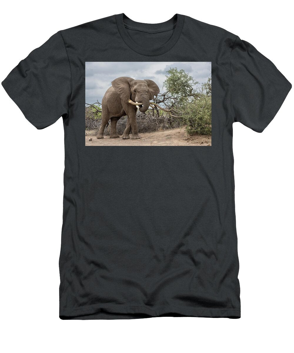 African Elephant Carrying a Tree Branch with Its Trunk Ann Steve Toon Natureplcom T-Shirt