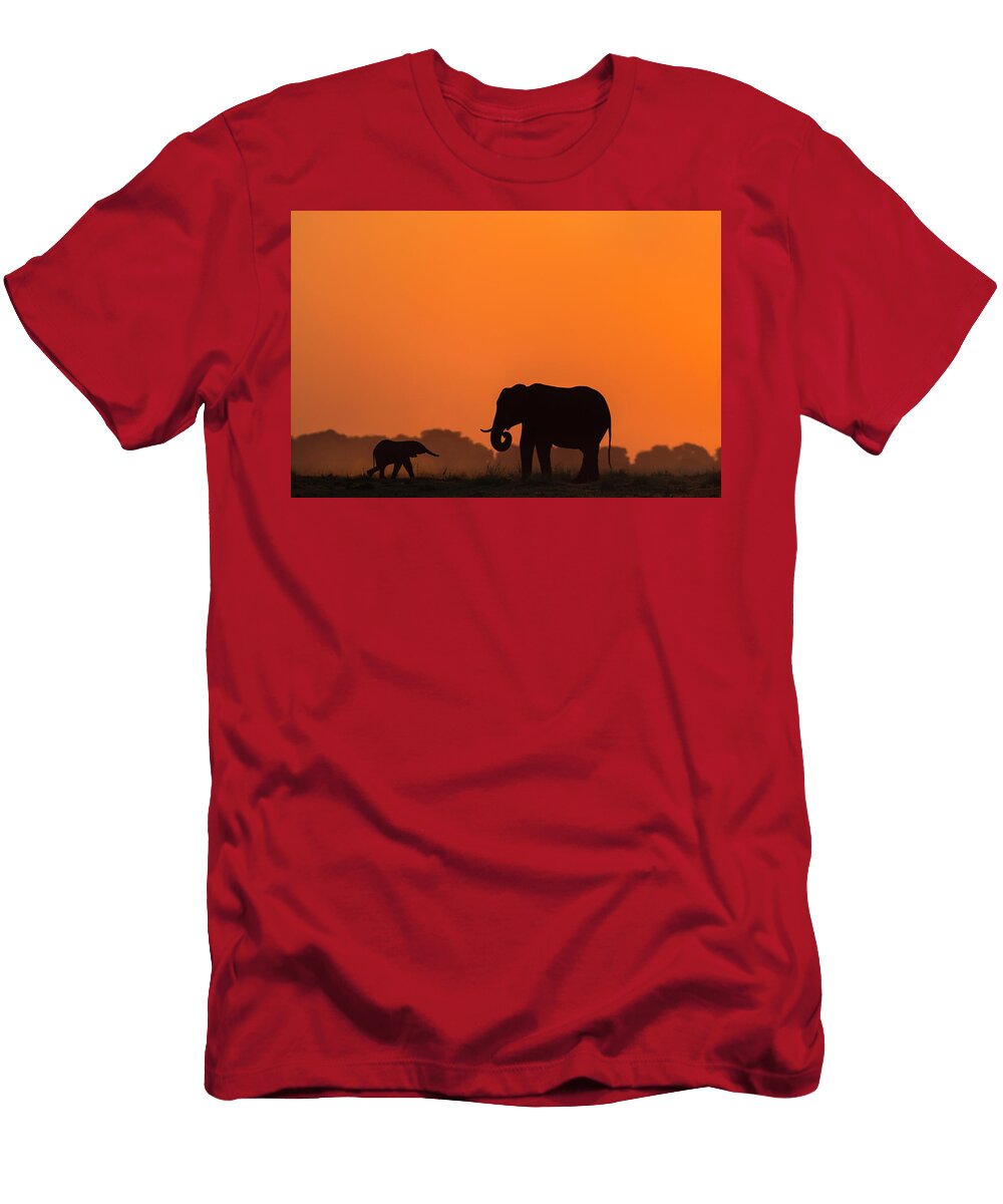 African Elephants Mother and Baby At Sunset Chobe National Ann Steve Toon Natureplcom T-Shirt