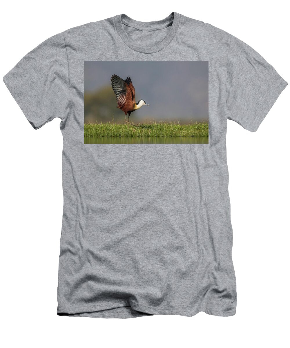 African Jacana Zimanga Private Game Reserve Ann Steve Toon Natureplcom T-Shirt
