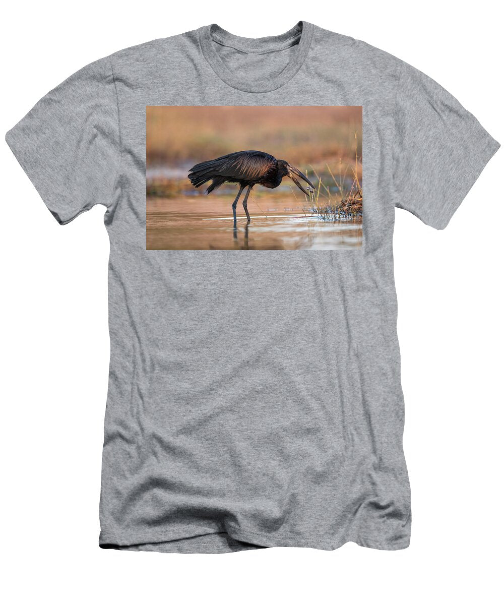 African Openbill Feeding in Shallow Water Chobe National Ann Steve Toon Natureplcom T-Shirt
