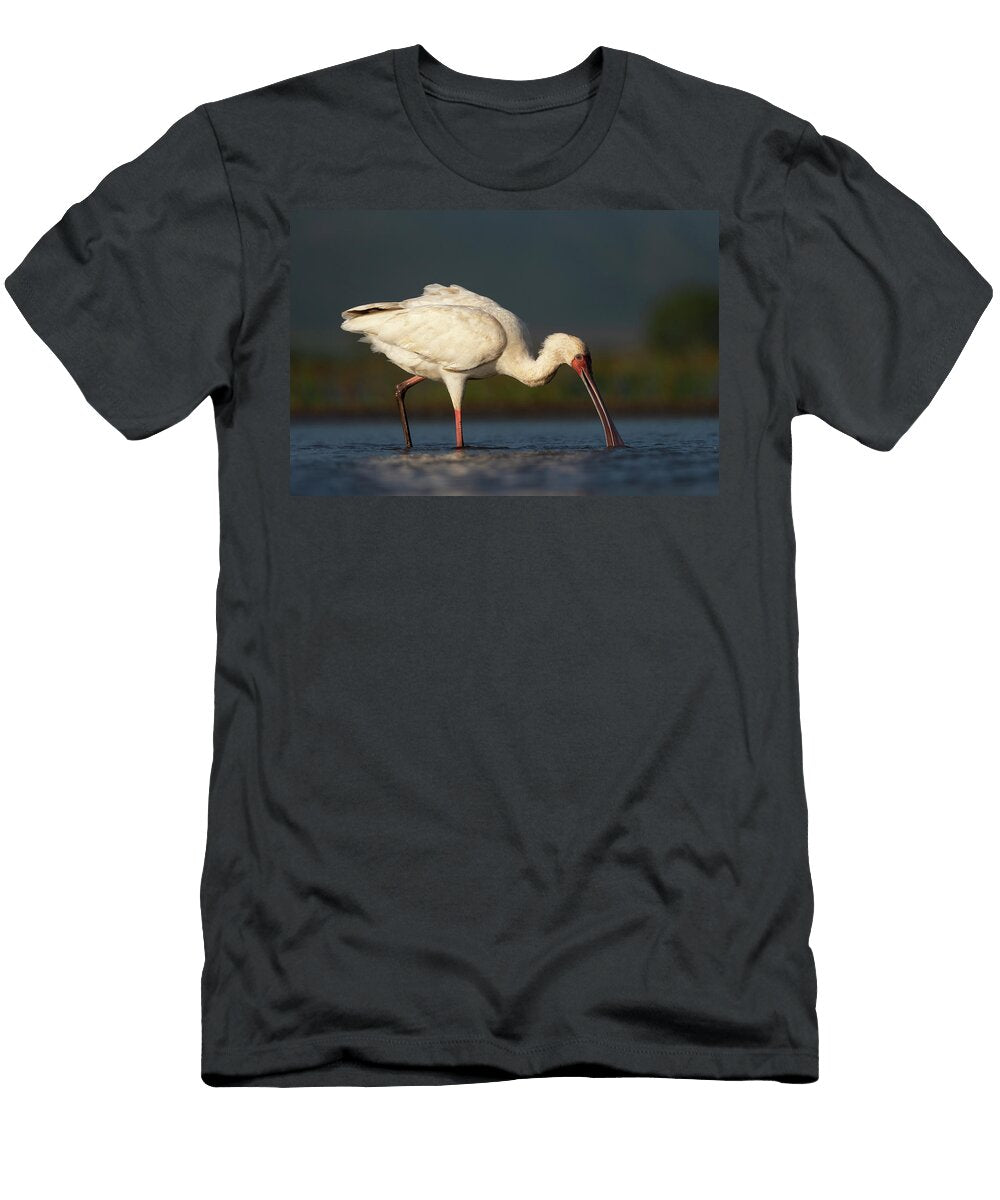 African Spoonbill Feeding in Shallow Water Zimanga Game Ann Steve Toon Natureplcom T-Shirt