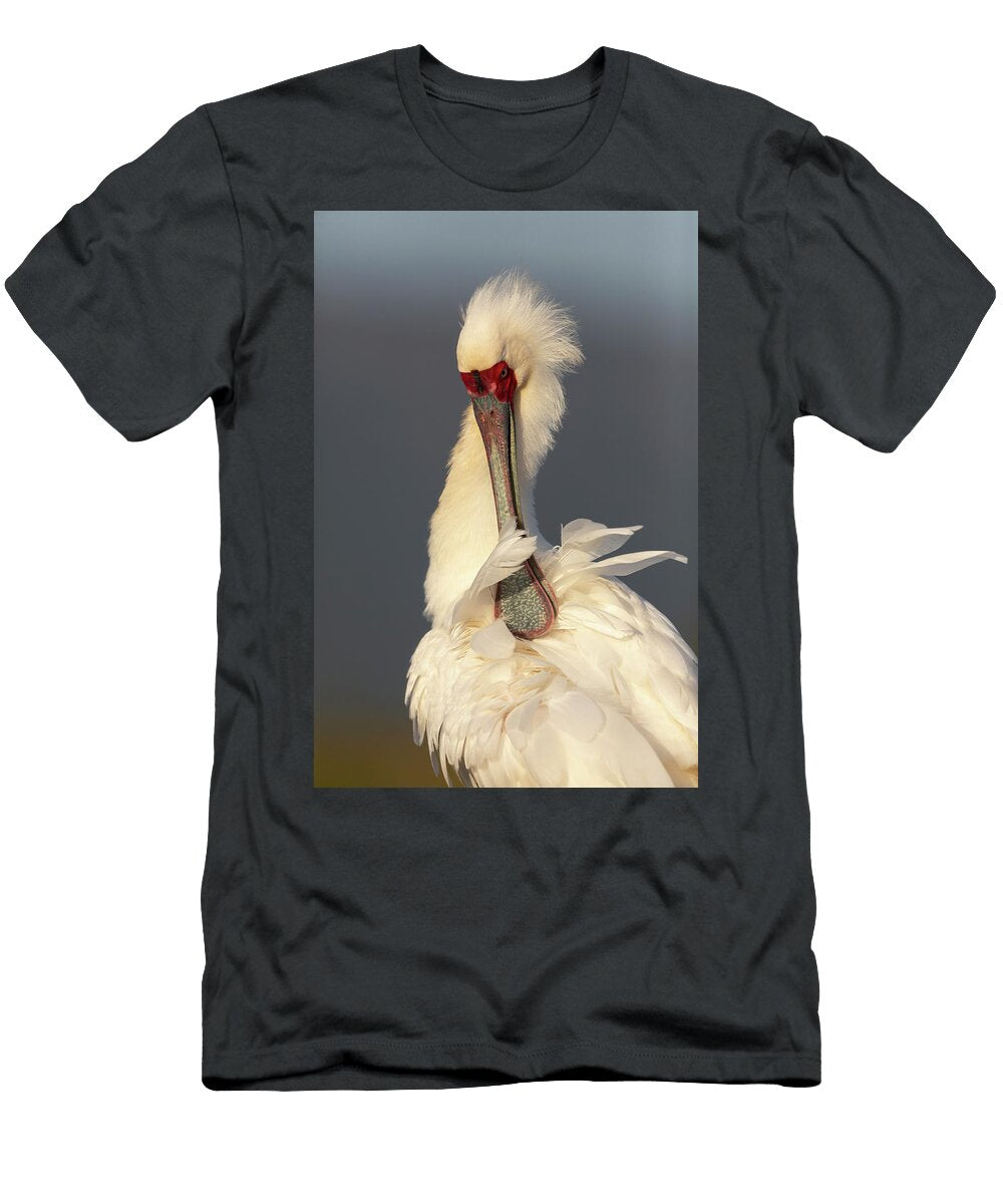 African Spoonbill Preening Zimanga Game Reserve Ann Steve Toon Natureplcom T-Shirt