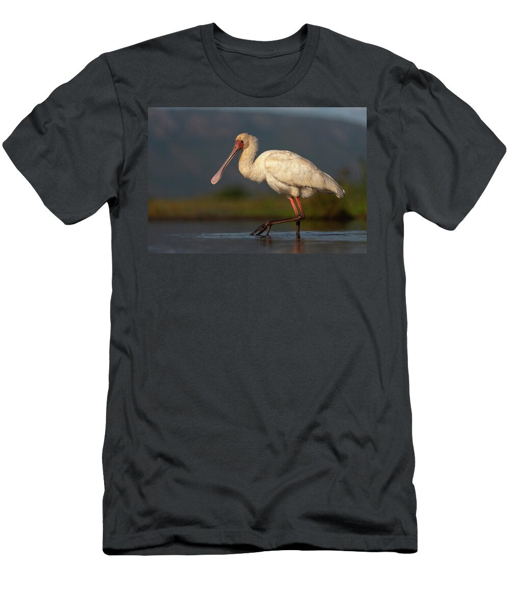 African Spoonbill Wading in Shallow Water Zimanga Game Ann Steve Toon Natureplcom T-Shirt