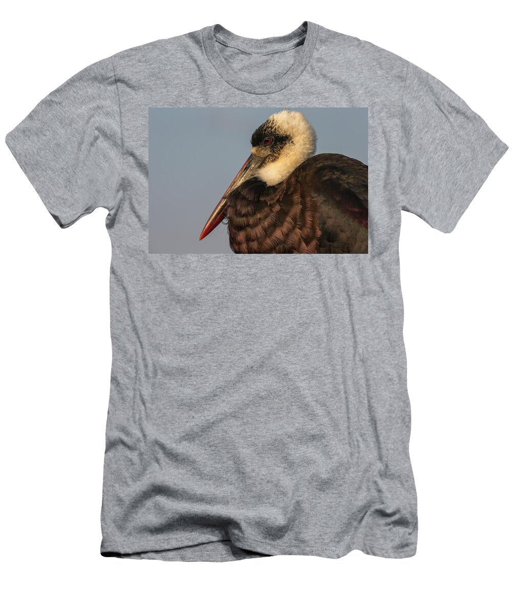 African Woolly Necked Stork Portrait Zimanga Game Reserve Ann Steve Toon Natureplcom T-Shirt