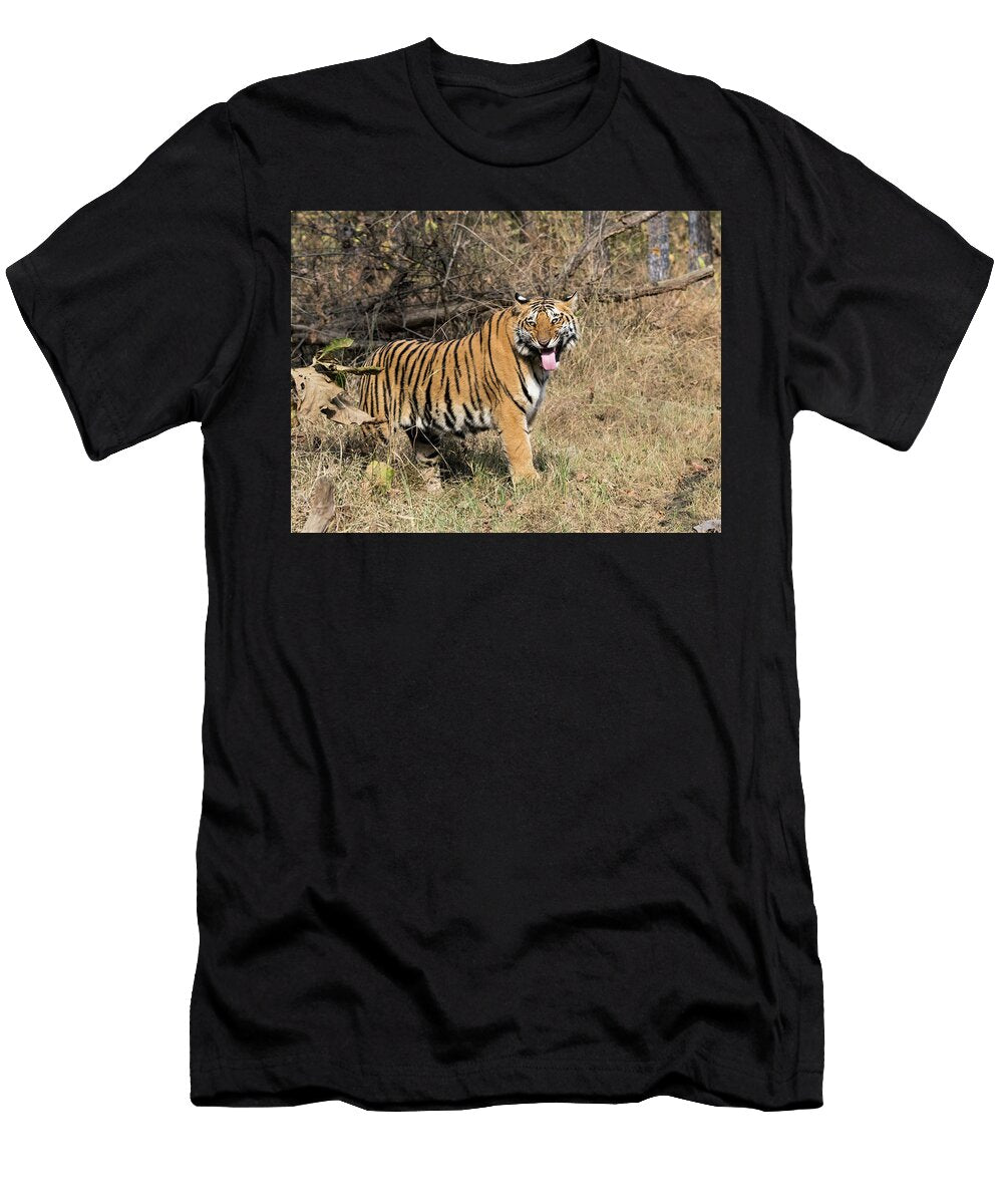 Almost Majestic Alex Lapidus T-Shirt