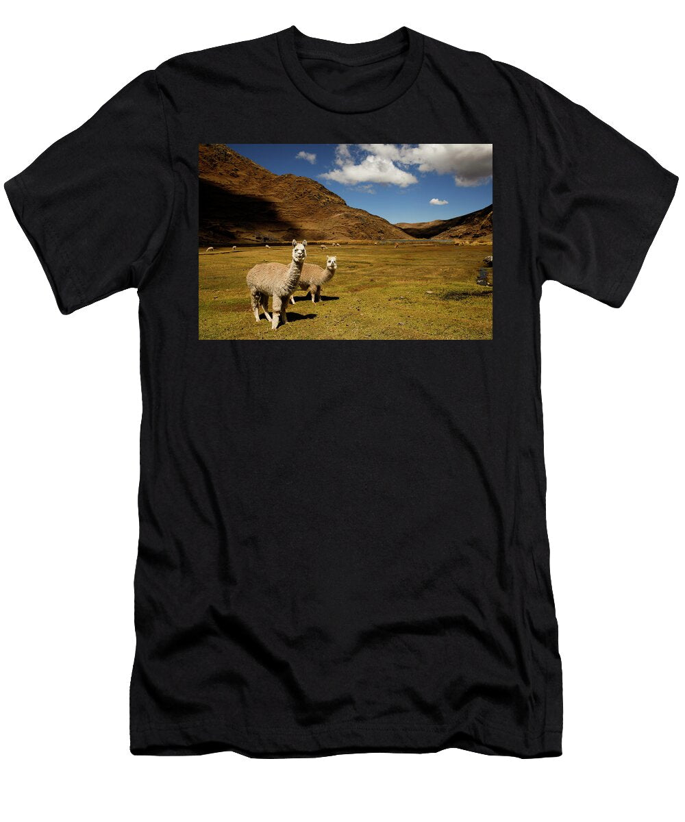 Alpacas in Peru Jasmin Shah T-Shirt
