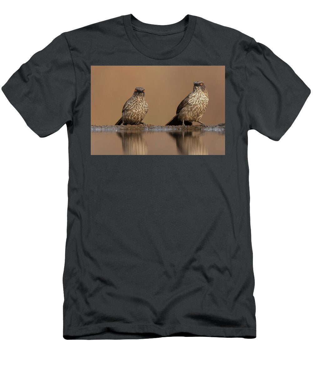 Arrow Marked Babblers By Water Zimanga Private Game Ann Steve Toon Natureplcom T-Shirt